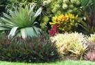 Surry Hillsbali-style-landscaping-6old.jpg; ?>